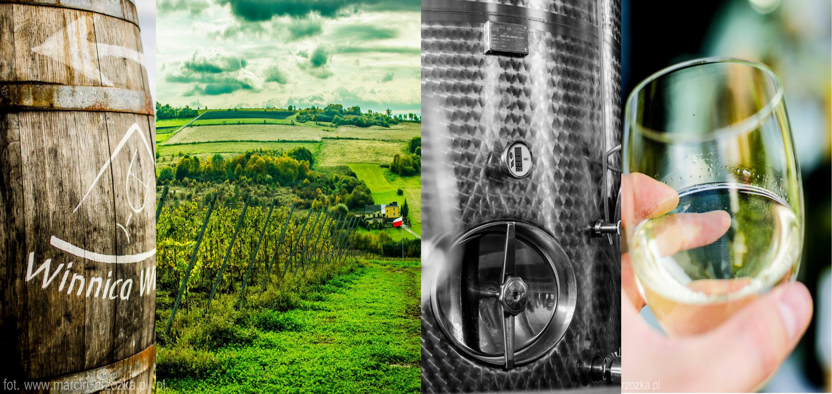 Wieczory z Polskim Winem: Biodynamiczne Wina z Wieliczki