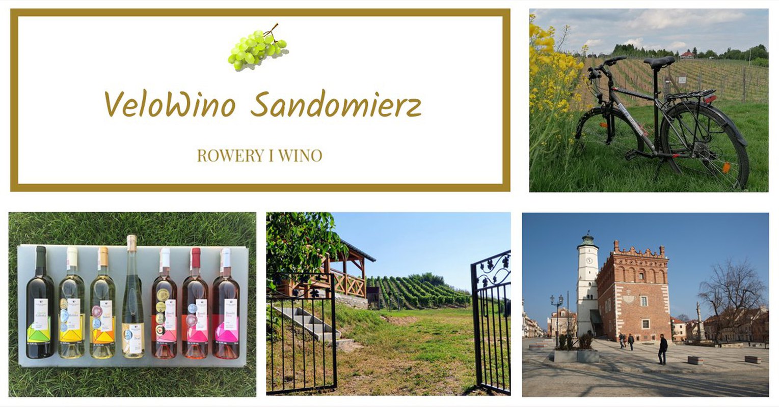 Rower i wino - Sandomierz