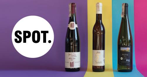 Polskie wina i cydry vol 4 / 2017