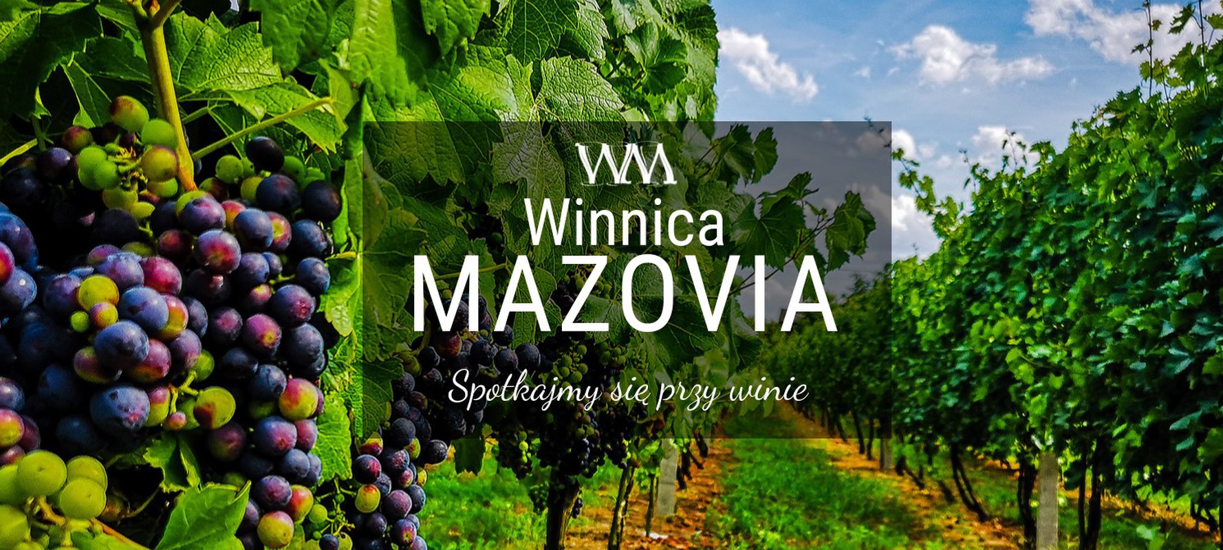 Majówka w winnicy Mazowia