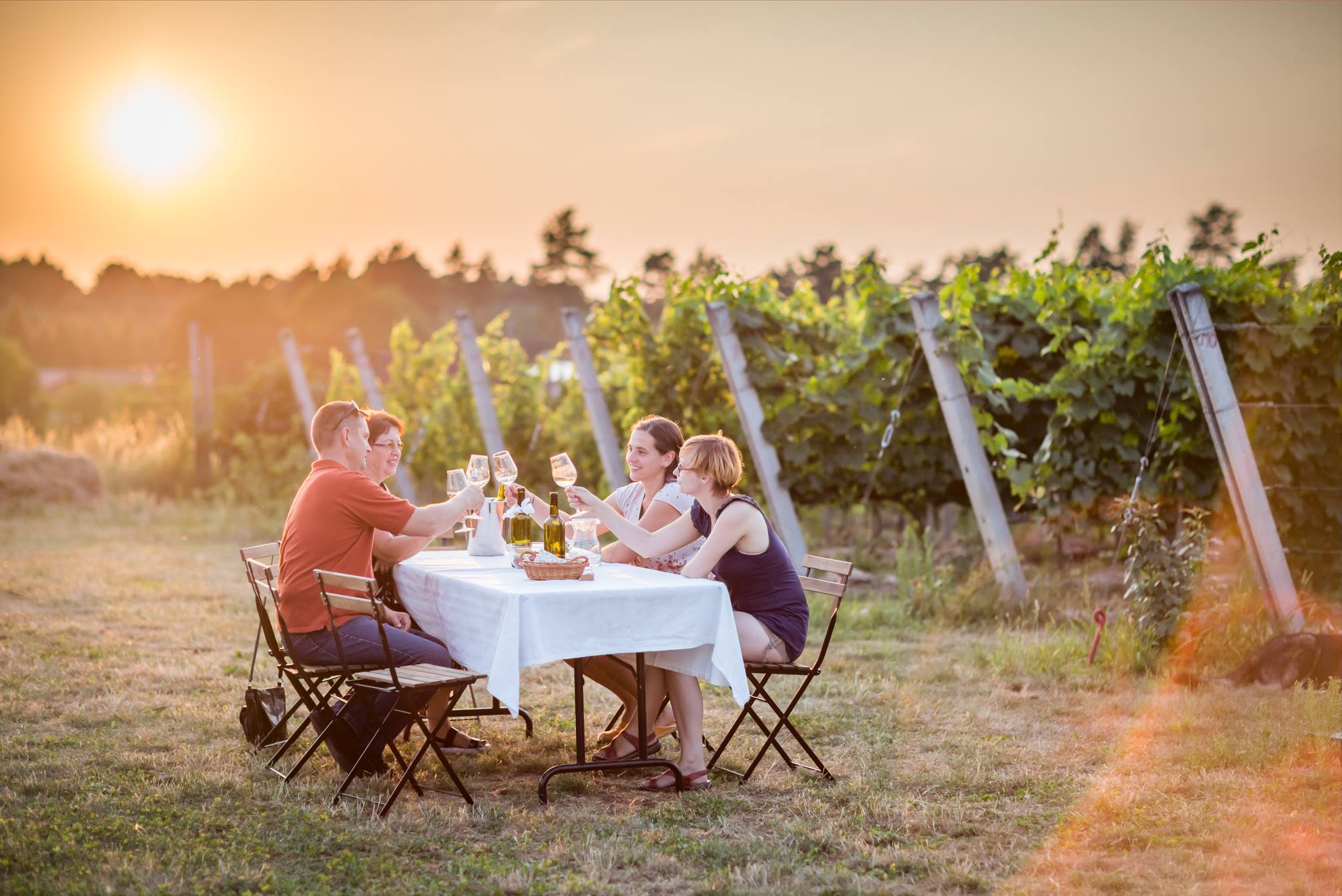 Weekend Otwartych Winnic