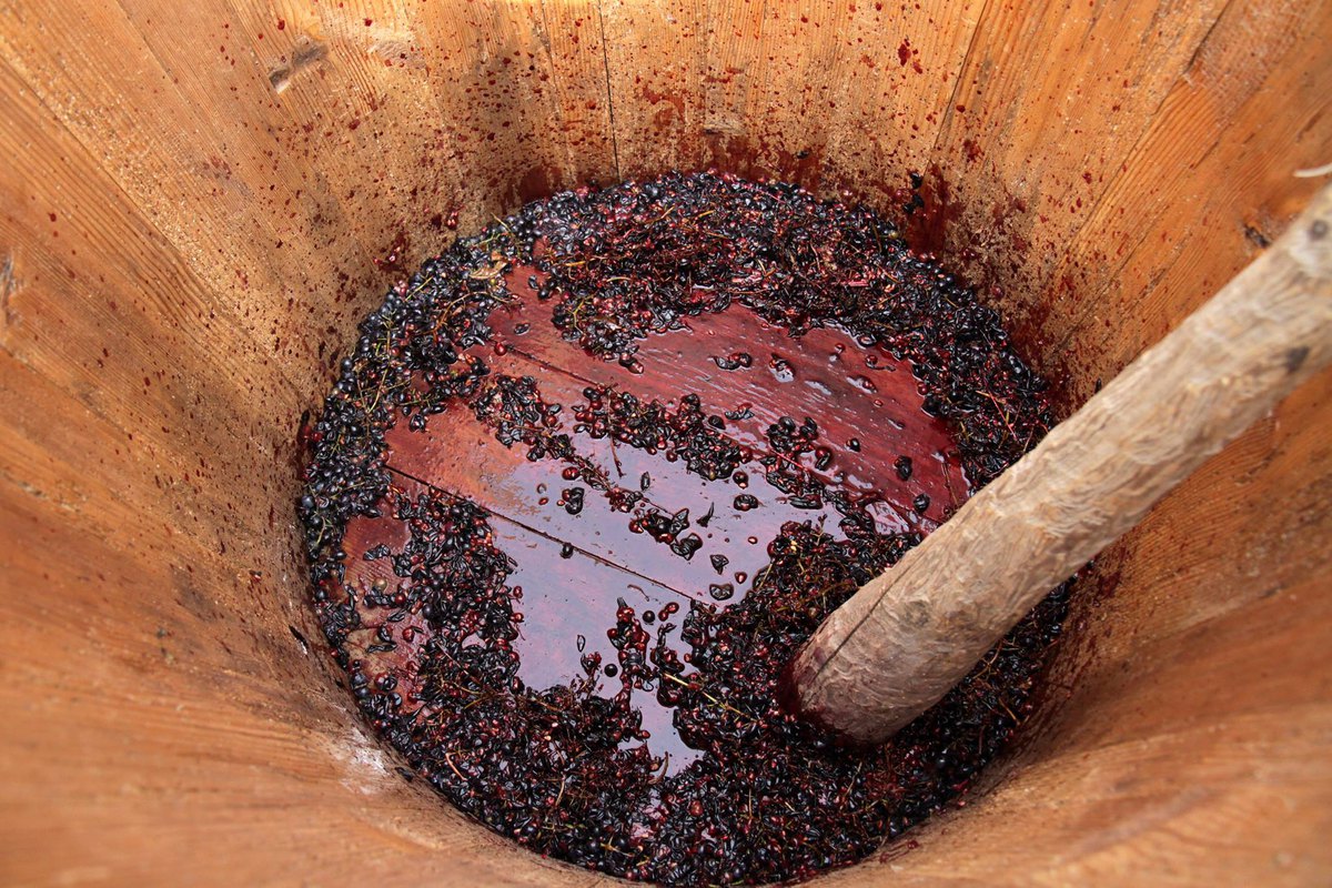 Winobranie w skansenie