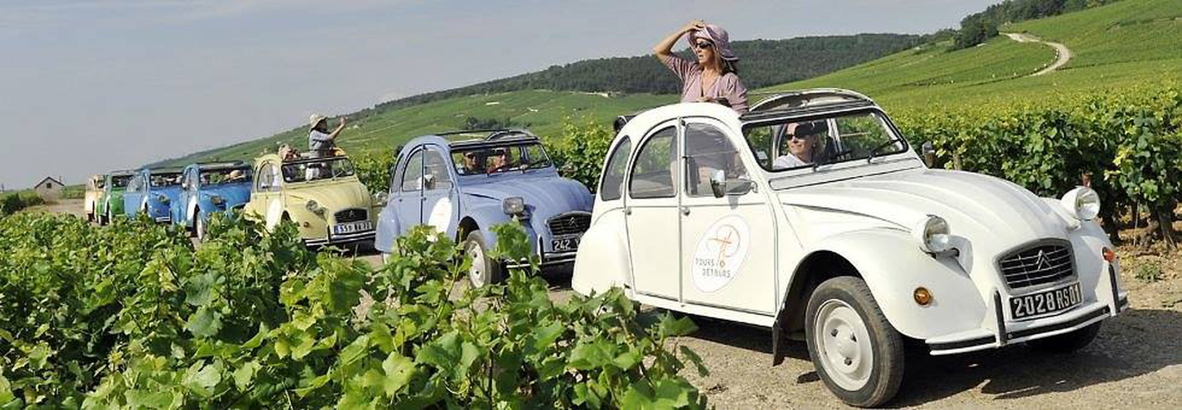 Jedziemy na winobranie #2