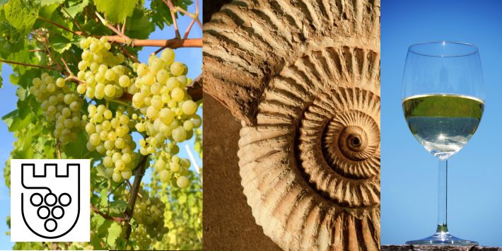 Wieczory z Polskim Winem; Wina z dna morza czyli Jurajskie winnice