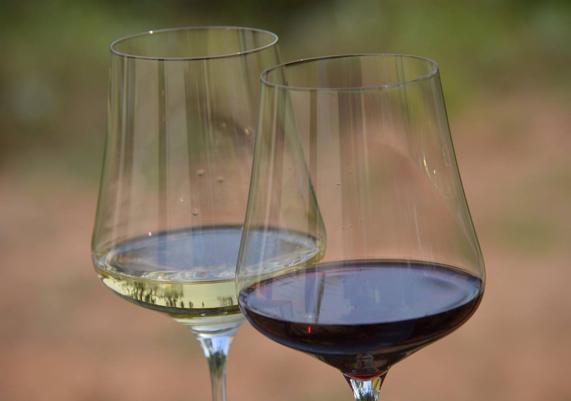 Wines of Poland - Winnica Wzgorza Trzebnickie