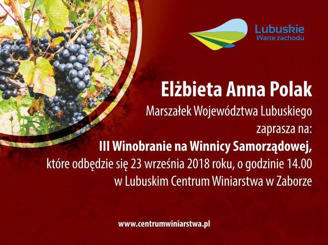 III Winobranie na Winnicy Samorządowej
