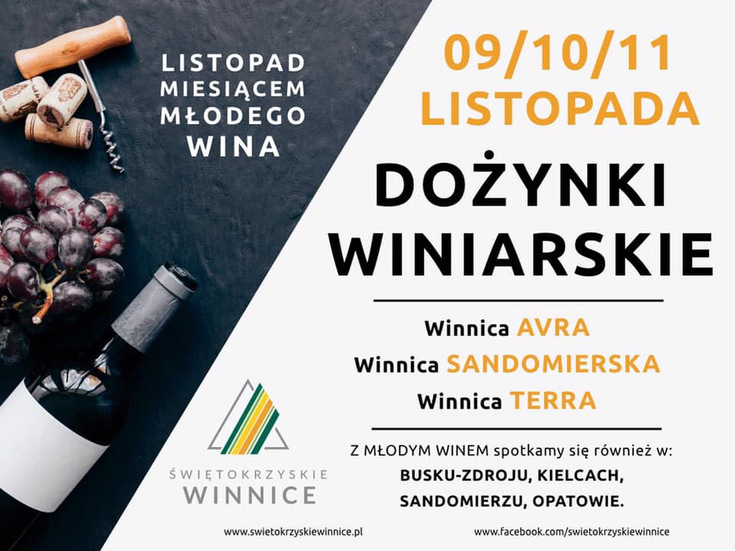 Świętokrzyskie Dożynki Winiarskie 2018