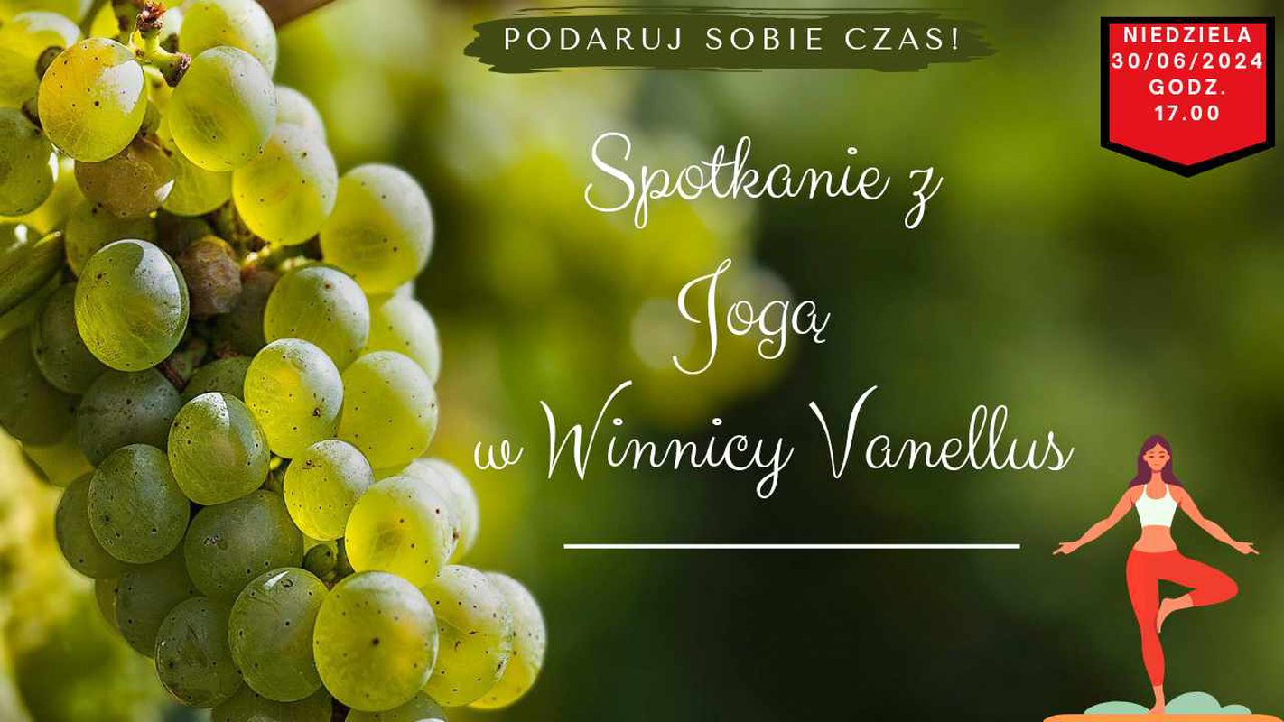 Spotkanie z jogą w Winnicy Vanellus