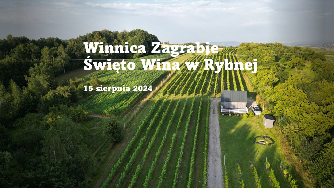 Święto Wina w Rybnej 2024