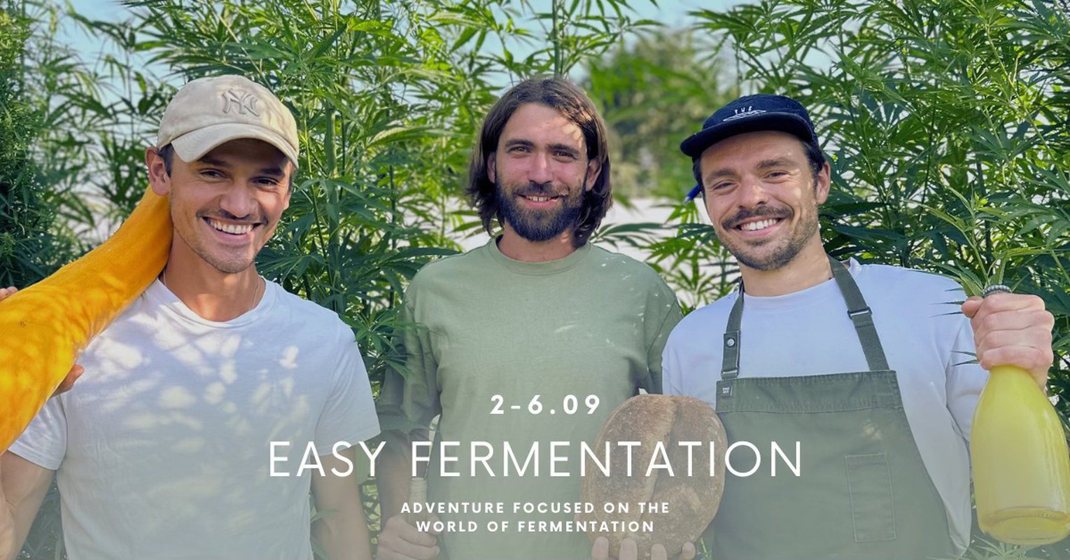 Easy fermentation training