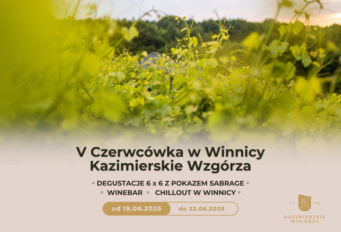 V Czerwcówka w Winnicy Kazimierskie Wzgórza