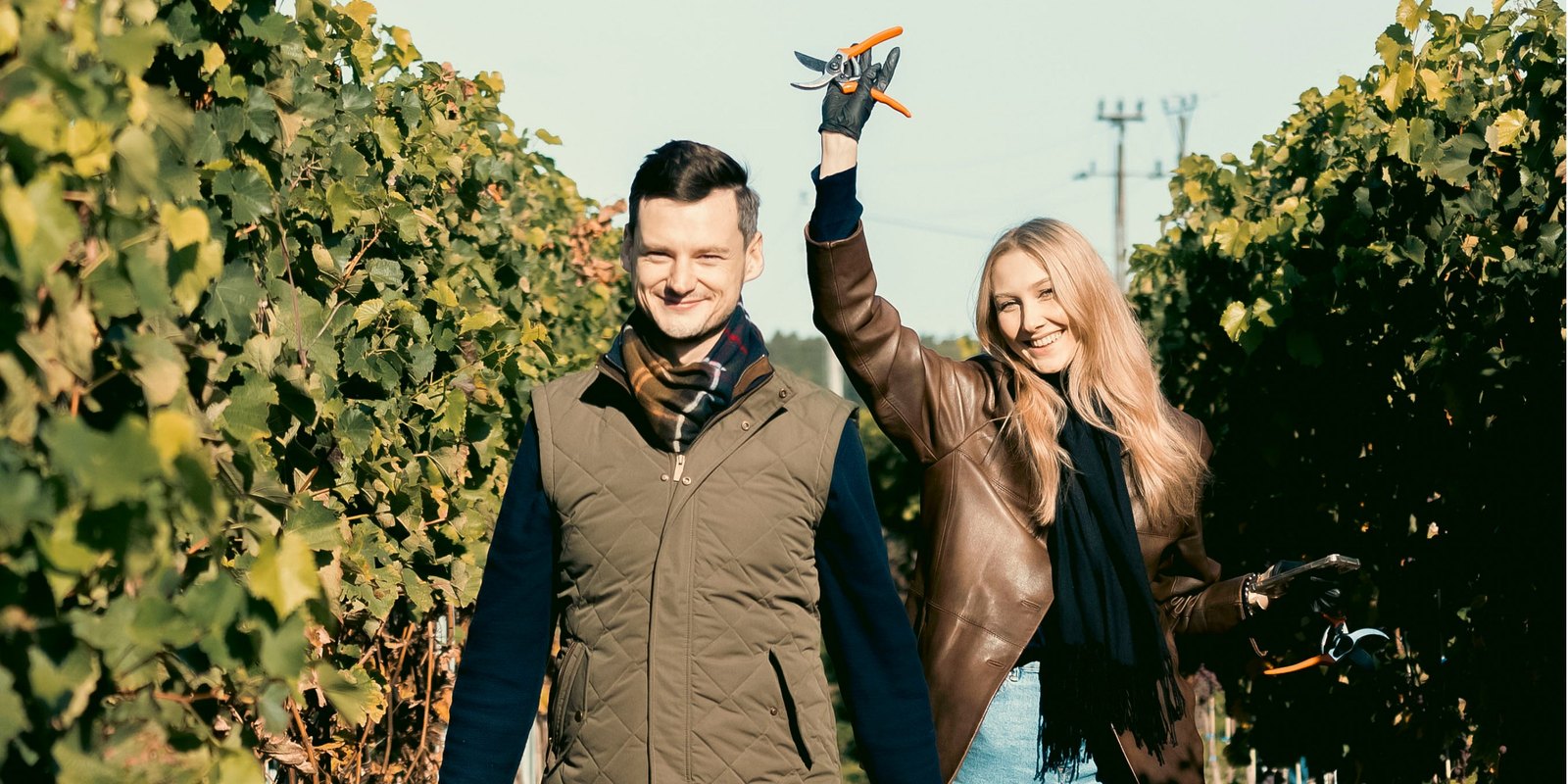 Winobranie w rytmie muzyki