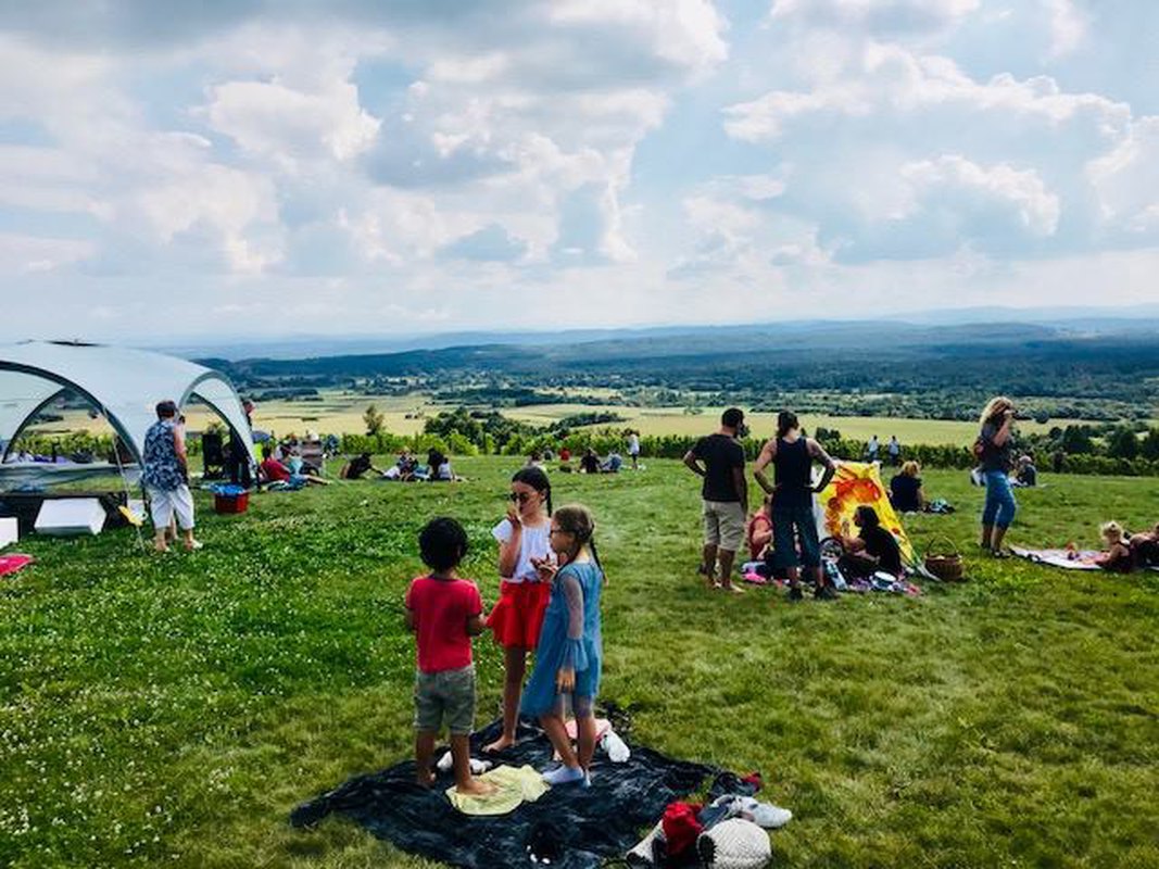 Piknik na Winnicy SlowWine