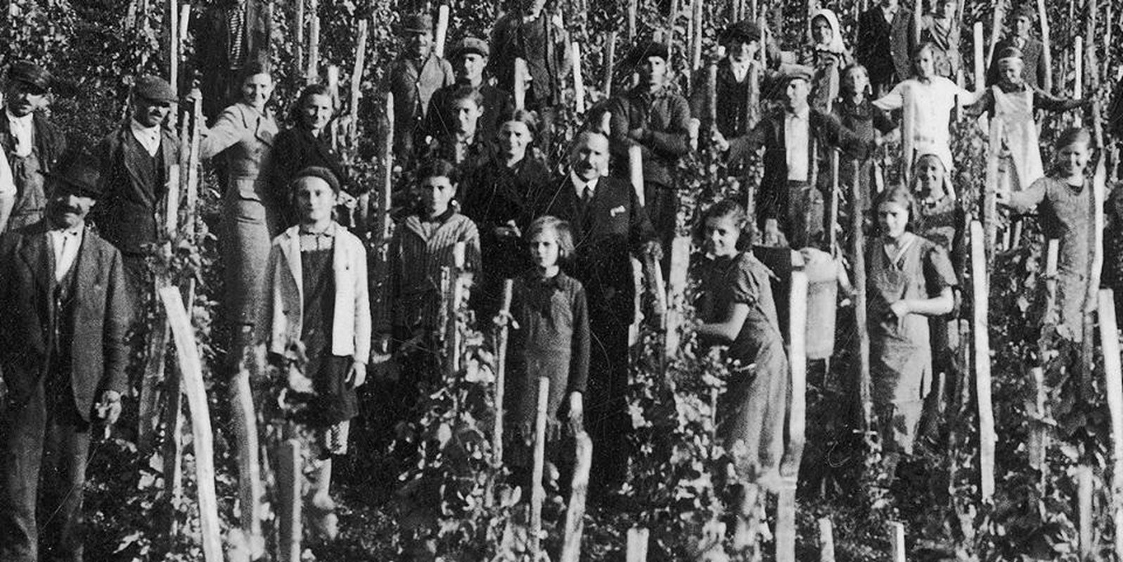 Wino i ludzie - konferencja naukowa (2020)