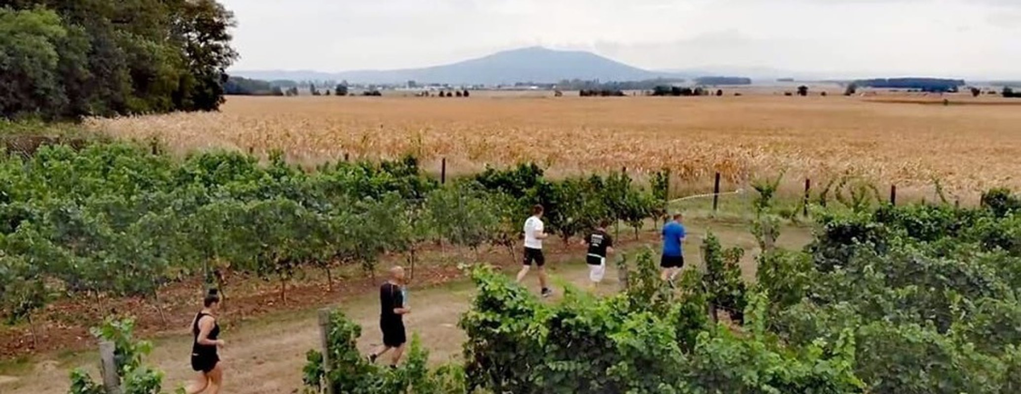 Run4Vines - III Bieg Dookoła Zachowic