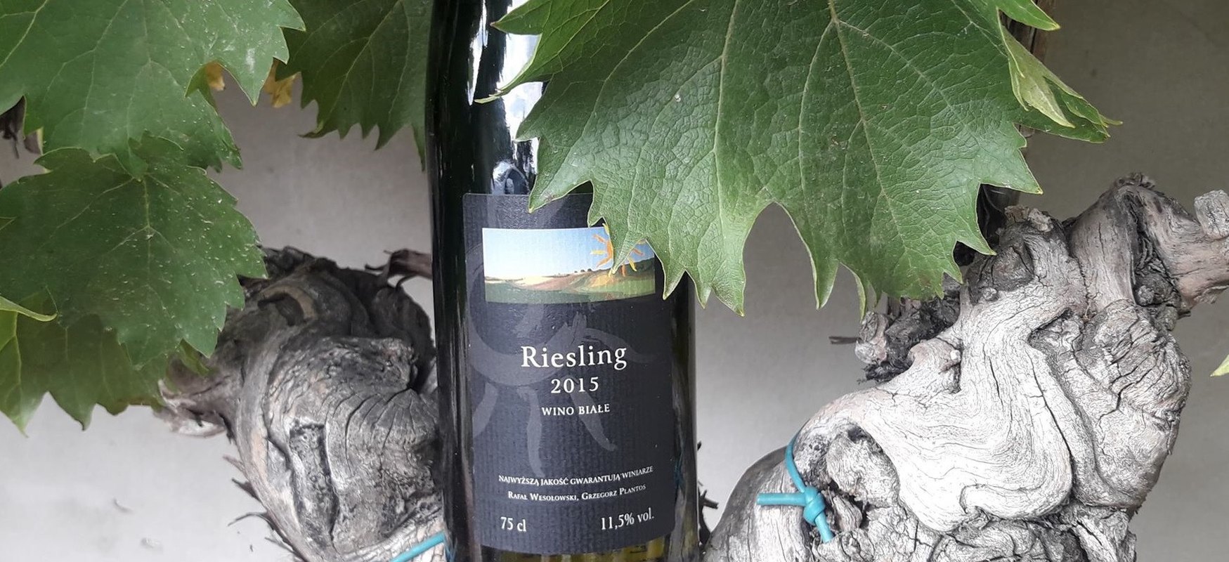 Warsztaty: Polskie Rieslingi