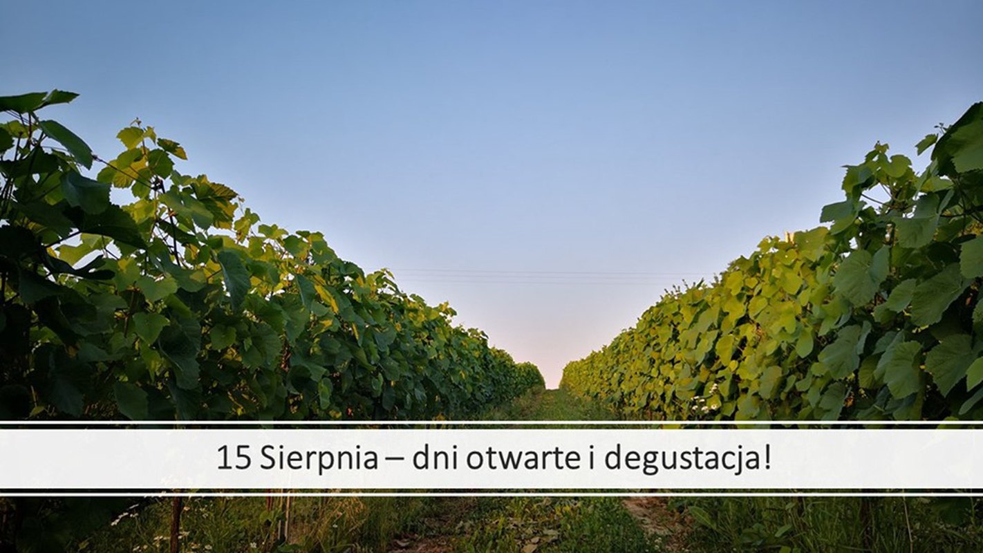 Prezentacja Win z Rocznika 2018, winnca Zagrabie
