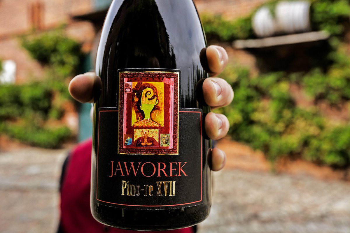 Premiera Jaworek Pino-re XVII / Degustacja