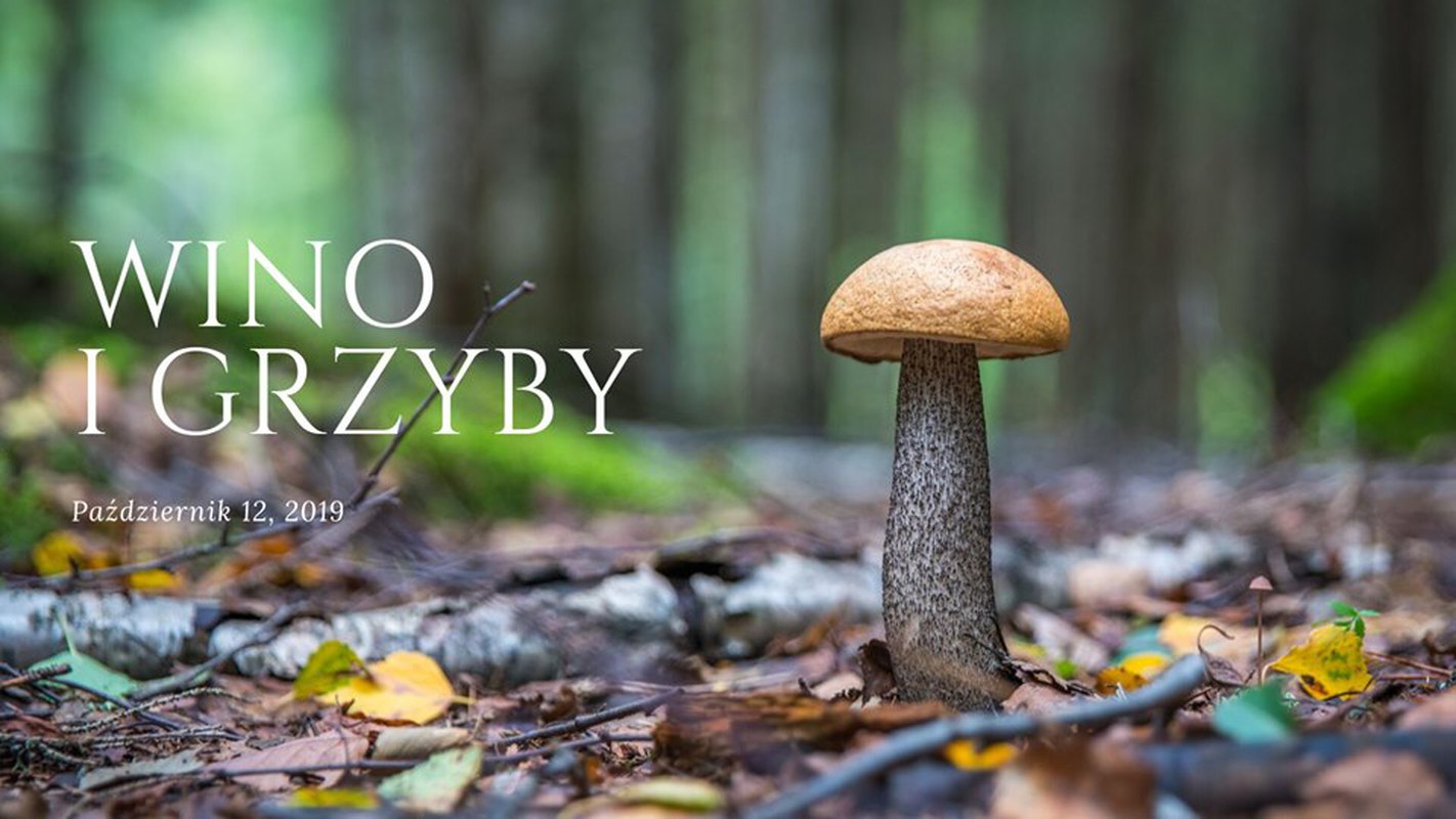 Grzyby i Wino - warsztat w plenerze