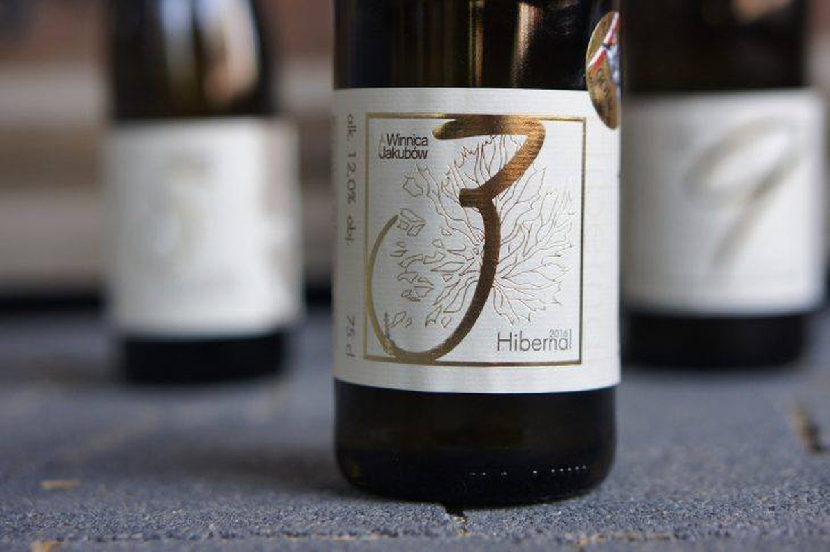 Degustacja Win z Winnicy Jakubów