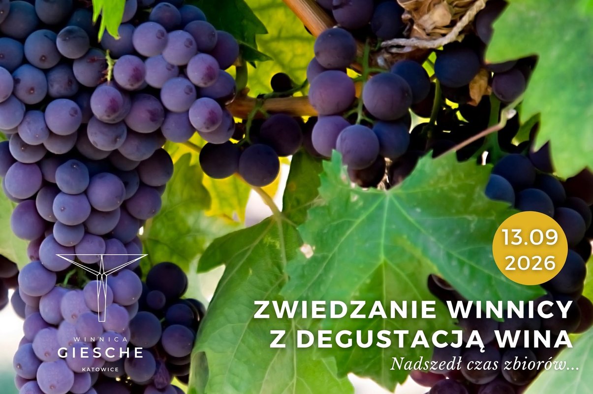 Zwiedzanie Winnicy Giesche Katowice z degustacją