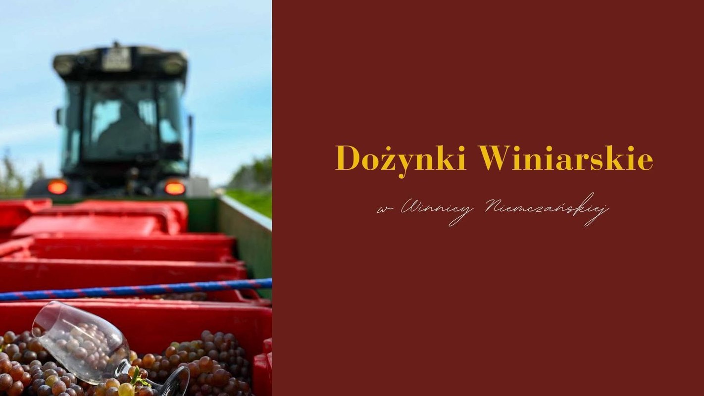 Dozynki Winiarskie w Winnicy Niemczańskiej