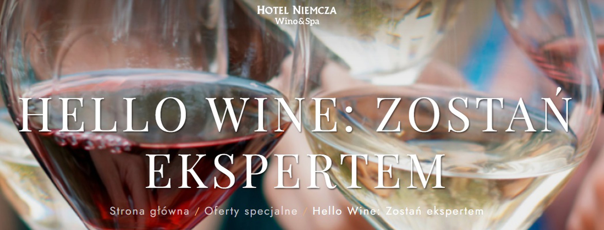 Hallo Wine: Zostań ekspertem.