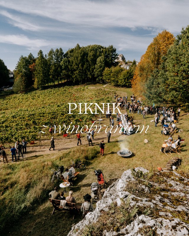 Piknik z Winobraniem