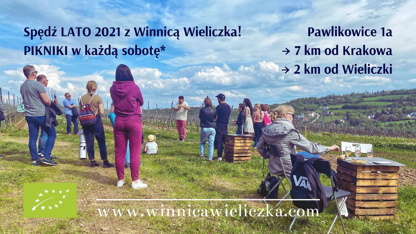 LETNIE PIKNIKI w Winnicy Wieliczka!