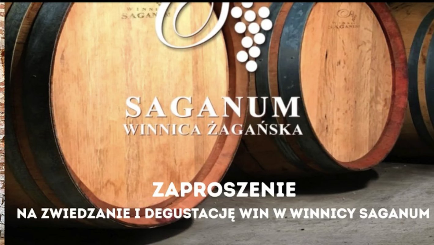 Dzień otwarty Traktu Winnego w podziemiach klasztoru
