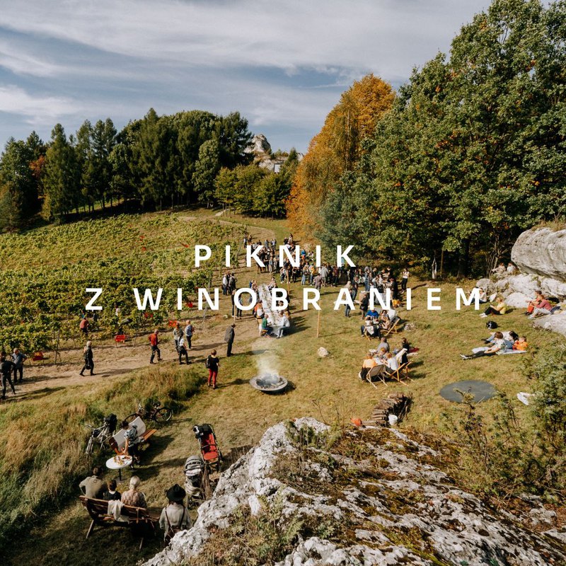 Winobranie z piknikiem