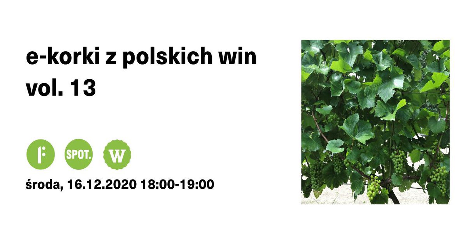 e-korki z polskich win vol. 13